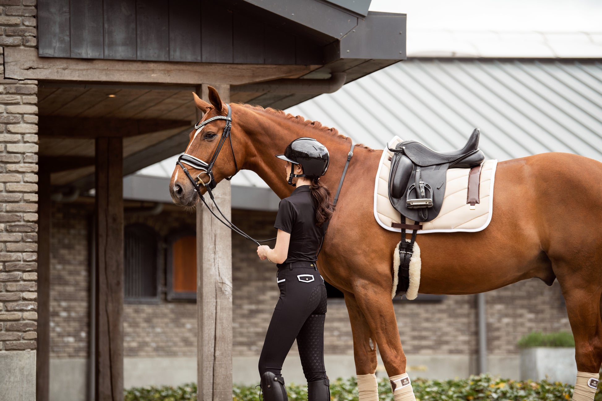Saddle-Pad-Dressage-Full-Satin-Beige-Brown-Appliqué-Amsterdam-Chestnut-Dressagehorse-gelding