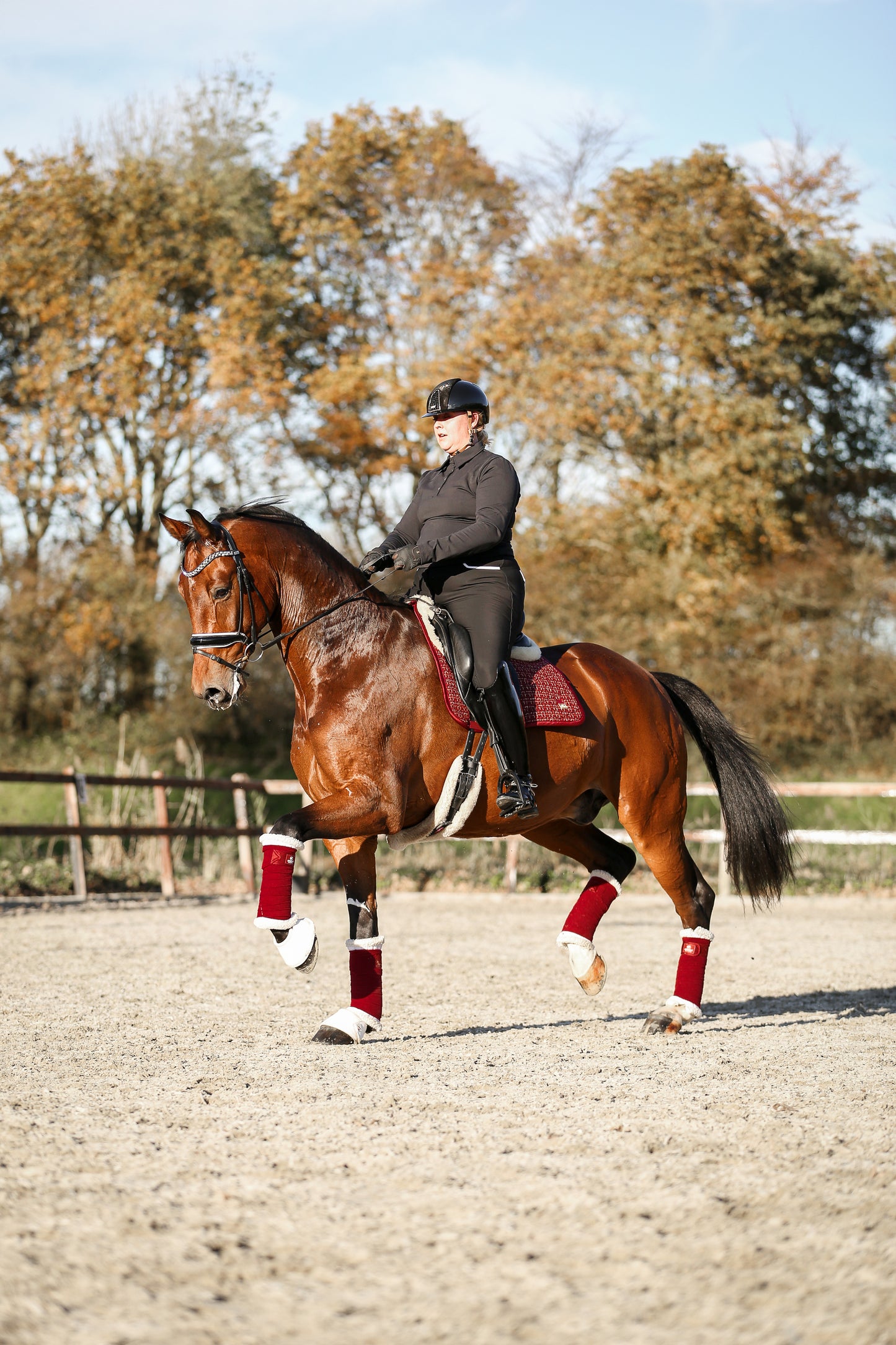 Saddle Pad Vithé Royal Red Tweed