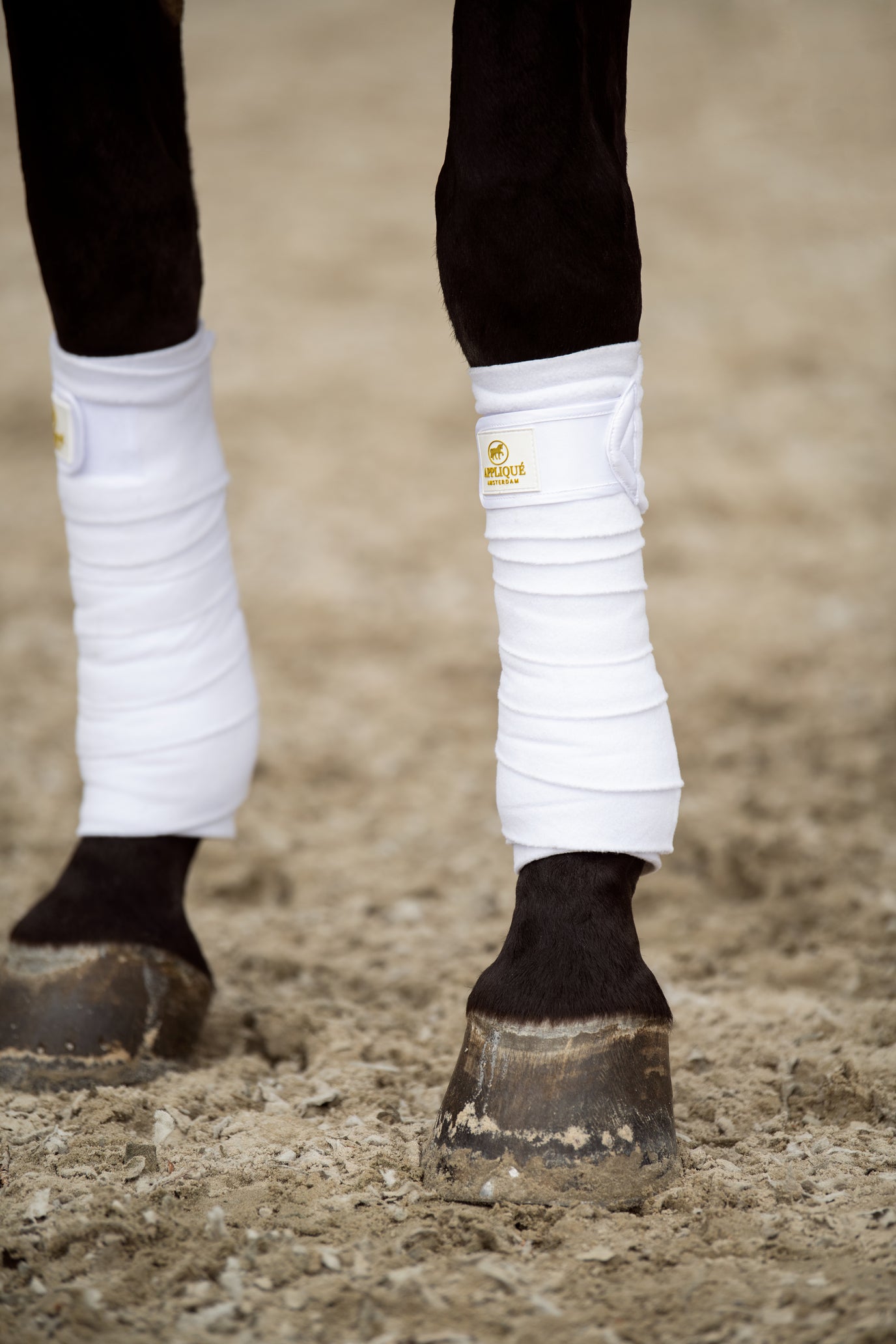 Dressage 2024 leg wraps