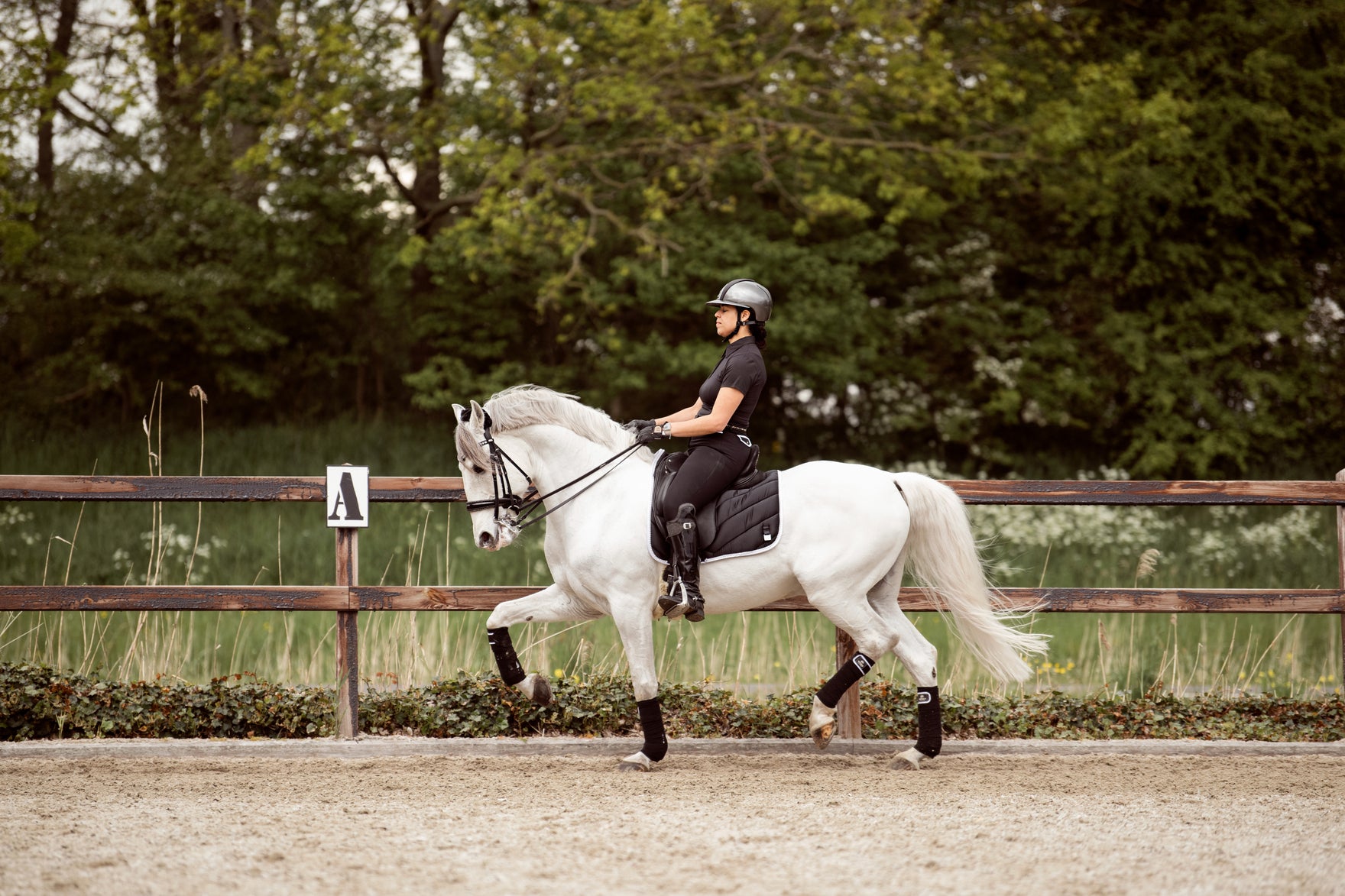 white-horse-trot-dressage-saddlepad-satin-Full-Pearls-Appliqué-Amsterdam